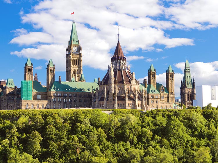 申请加拿大签证时，什么原因会导致拒签？