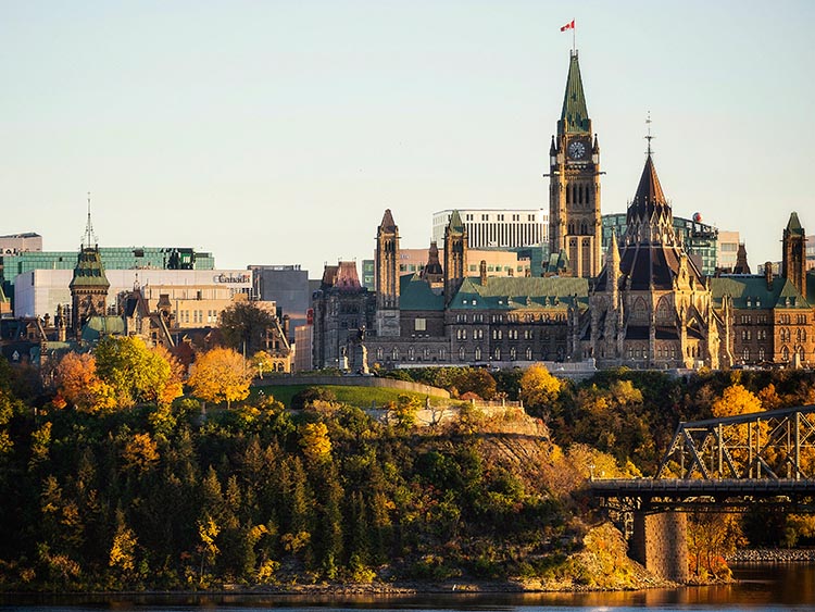 加拿大自雇移民的移民官最看重哪些方面？