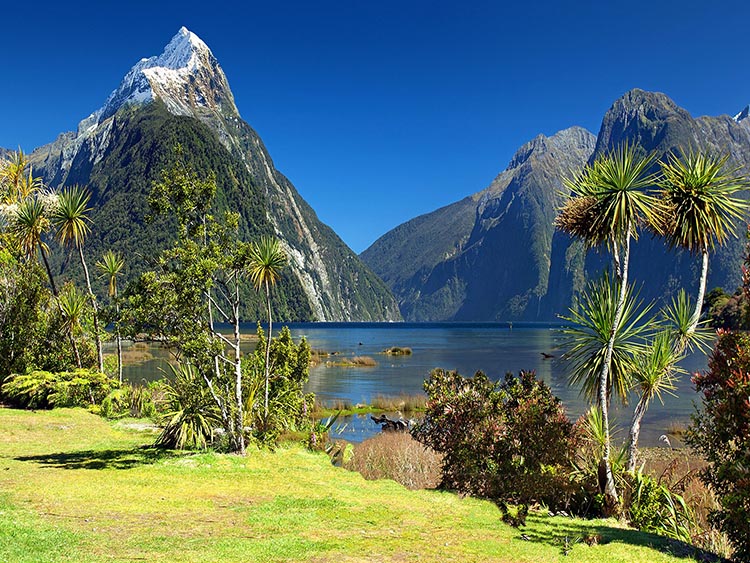 新西兰留学必看！在新西兰打工一定要知道的事！